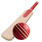 cricket icon